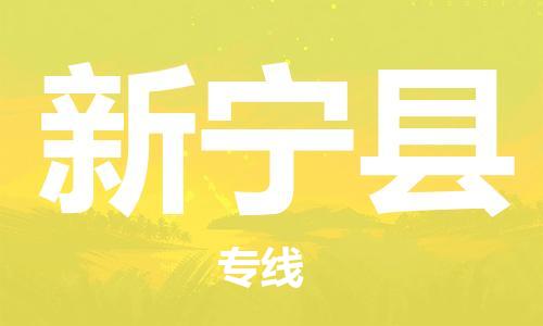 佛山到新寧縣物流專(zhuān)線_佛山至新寧縣物流公司_佛山到新寧縣貨運(yùn)專(zhuān)線